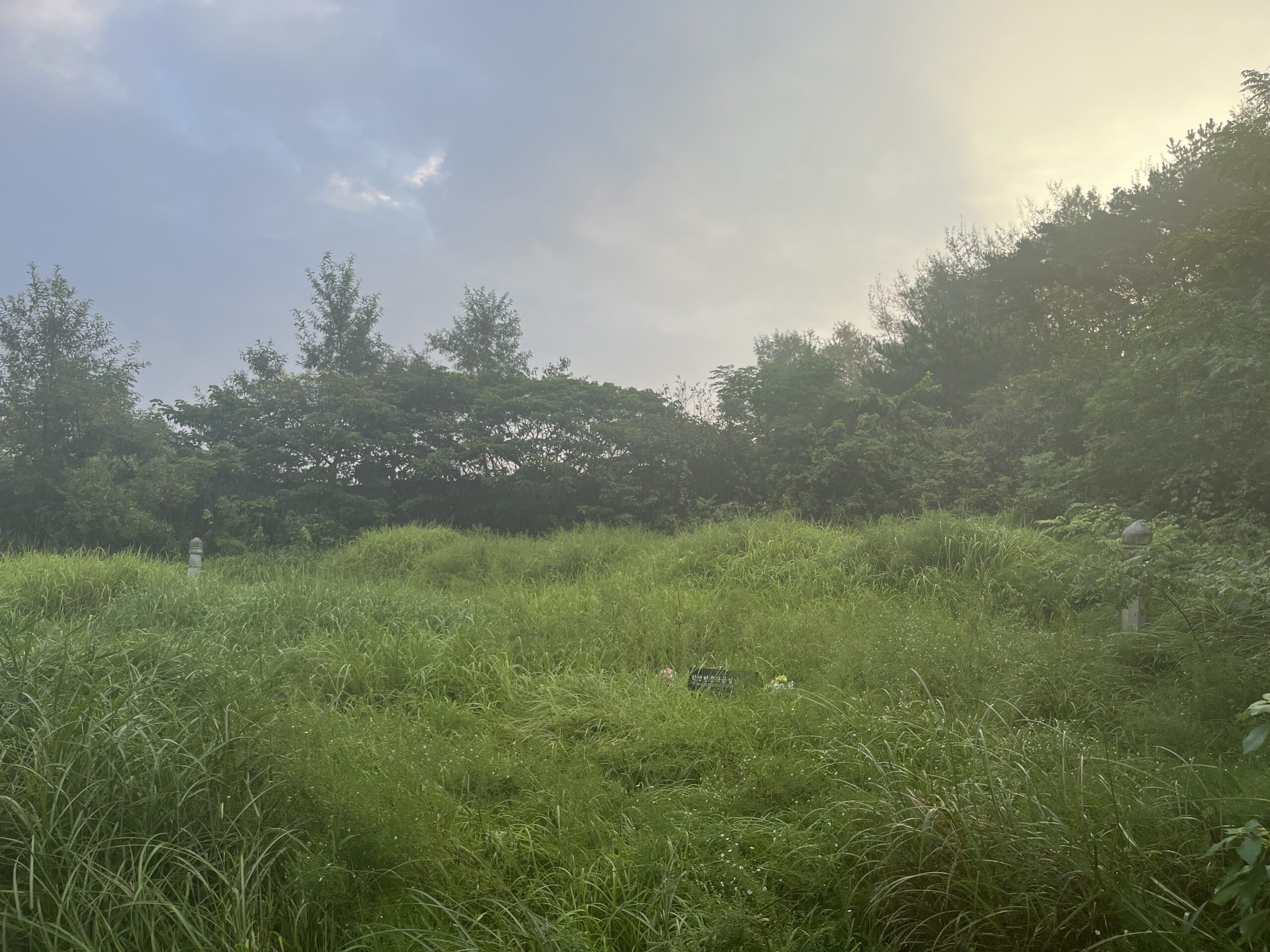 관리 전 묘역